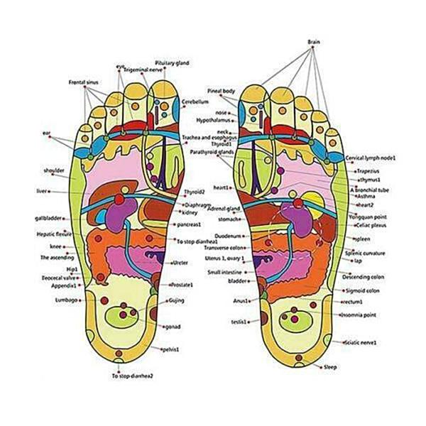 Chinelo Magnético –  Reflexologia Podal – Acupressão – Terapia Magnética